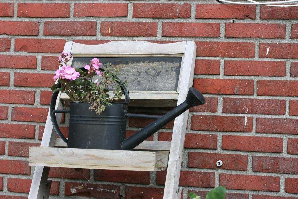 De Johanneshoeve Westerhaar-Vriezenveensewijk Ngoại thất bức ảnh